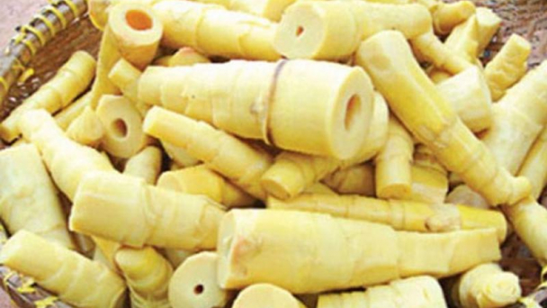 Cẩn trọng với nguy cơ ngộ độc xyanua từ những thực phẩm quen thuộc