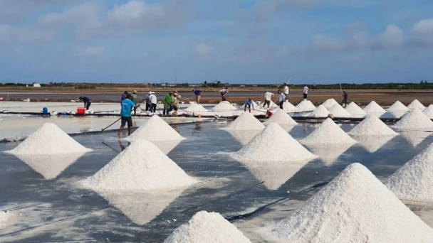 Giải pháp nào cho phát triển bền vững ngành Muối ở Việt Nam?
