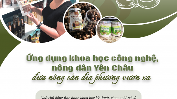 Ứng dụng khoa học công nghệ, nông dân Yên Châu đưa nông sản địa phương vươn xa