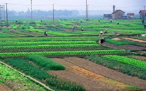 Chính sách hỗ trợ đào tạo, chuyển đổi nghề, tái định cư khi Nhà nước thu hồi đất