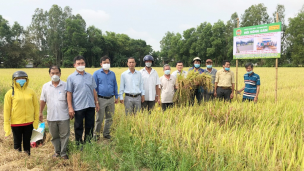 Hội Nông dân An Giang hỗ trợ kỹ thuật canh tác lúa thân thiện với môi trường cho hội viên, nông dân