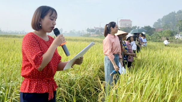 Bắc Giang: Nâng cao nghiệp vụ quản lý sức khỏe cây trồng đối với đội ngũ giảng viên cấp tỉnh
