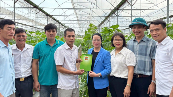 Ứng Hòa hỗ trợ hội viên nông dân sử dụng chế phẩm sinh học cho chăn nuôi sau ngập úng do bão lụt