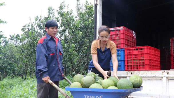 Bà Rịa-Vũng Tàu:  Nguồn Quỹ Hỗ trợ nông dân giúp hội viên vươn lên làm giàu