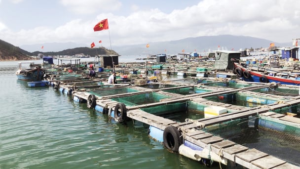 Tăng cường nuôi trồng thủy sản các tháng cuối năm 2024