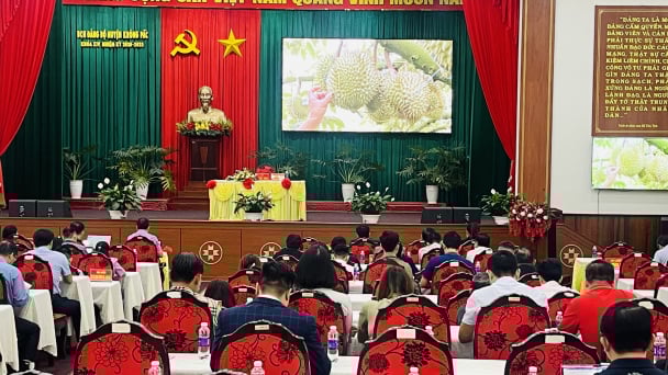 Sầu riêng ở Krông Pắc trở thành cây trồng mũi nhọn, tạo thu nhập cao cho bà con nông dân