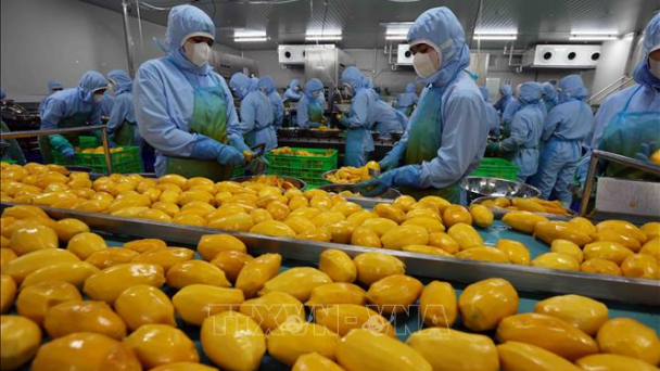 Nông sản Việt nhiều cơ hội thâm nhập thị trường Halal