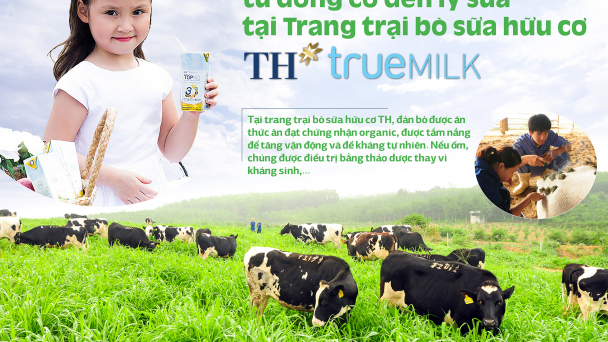 Mục sở thị quy trình từ đồng cỏ đến ly sữa  tại Trang trại bò sữa hữu cơ TH true MILK