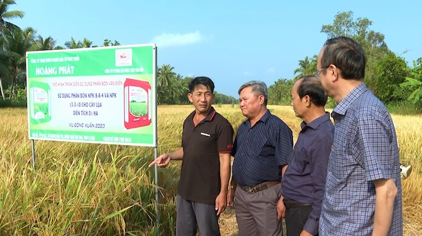Phân bón Văn Điển gia tăng giá trị cho nông sản và tăng thu nhập cho nông dân
