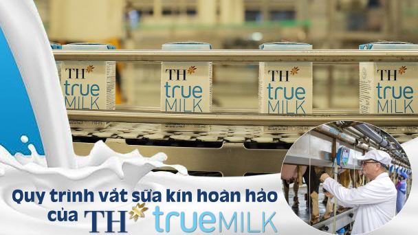 Quy trình vắt sữa kín hoàn hảo của TH true MILK