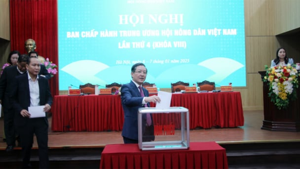 Bầu bổ sung 6 ủy viên ban chấp hành, 3 ủy viên ban thường vụ Trung ương Hội NDVN