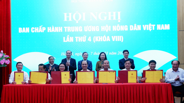 Các cấp Hội tập trung, quyết tâm thực hiện hiệu quả 5 nhiệm vụ trọng tâm năm 2025