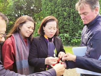 “Công nghệ giúp nông nghiệp Hà Lan đạt tổng giá trị xuất khẩu hơn 123 tỷ Euro mỗi năm”