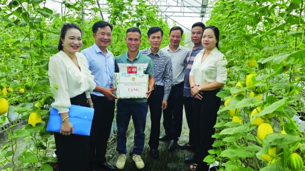 Giúp nông dân vượt khó, khôi phục sản xuất
