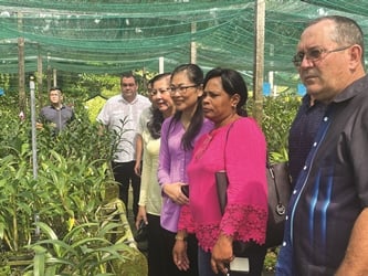 Sức sống mới của nông dân thành phố trước thềm năm mới 2025