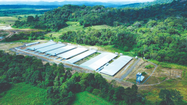 Trang trại heo Mavin đạt tiêu chuẩn toàn cầu Global S.L.P