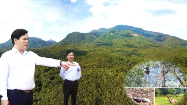 Không chỉ là giữ rừng: Phó Chủ tịch Quảng Ngãi yêu cầu biến Chư Mom Ray thành 'mỏ vàng' du lịch bền vững