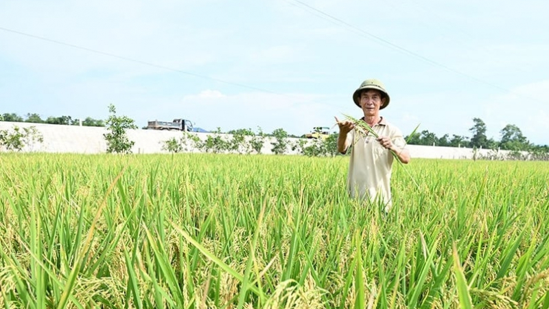 Nghị quyết 57 là đòn bẩy chuyển đổi số ngành nông nghiệp