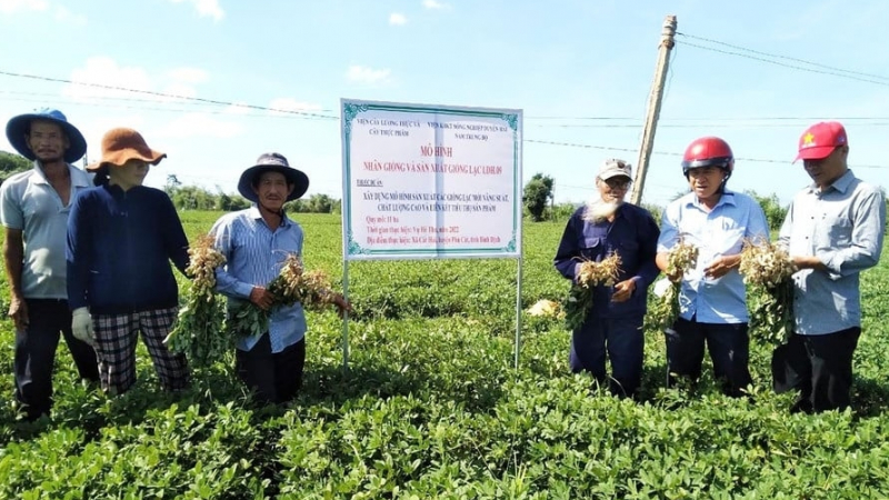 Từ cao nguyên xuống cảng biển: 'Siêu hành lang kinh tế' Đông-Tây sẽ thay đổi vận mệnh nông sản Gia Lai thế nào?
