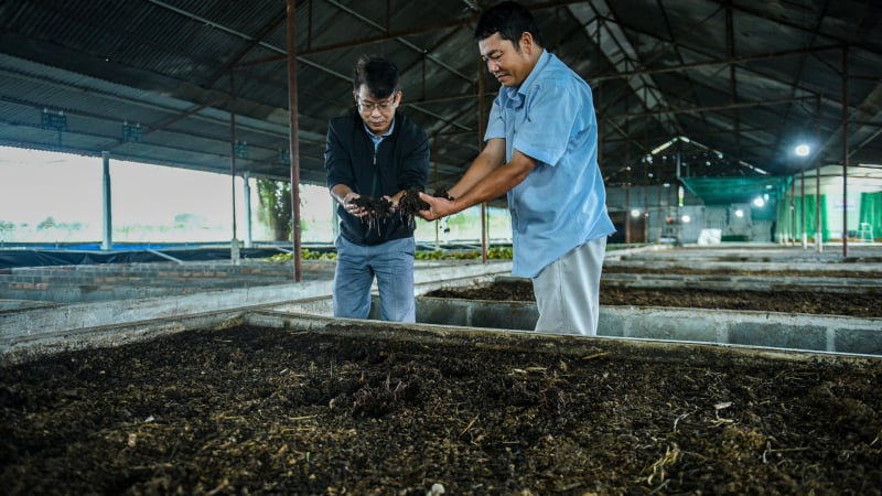 Bỏ lương 30 triệu ở tuổi 49, kỹ sư Lâm Đồng và cuộc 'đặt cược' vào nông nghiệp tuần hoàn