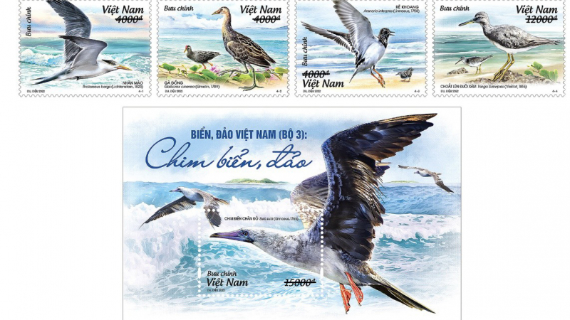 Phát hành bộ tem “Biển, đảo Việt Nam: Chim biển, đảo”