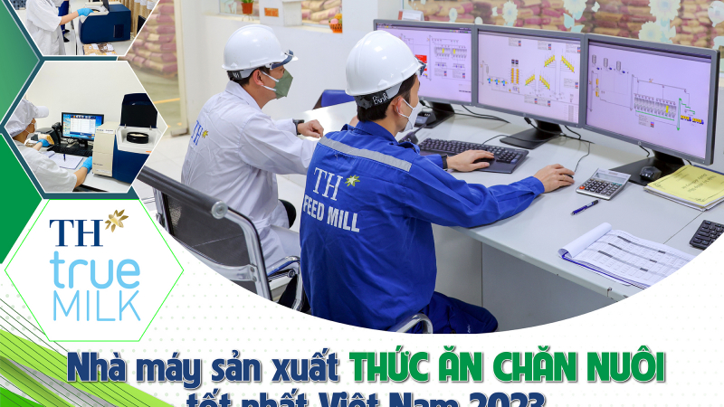 Nhà máy sản xuất thức ăn chăn nuôi tốt nhất Việt Nam 2023: Bò sữa có cả thực đơn ăn kiêng, sắp sinh, sau sinh,…