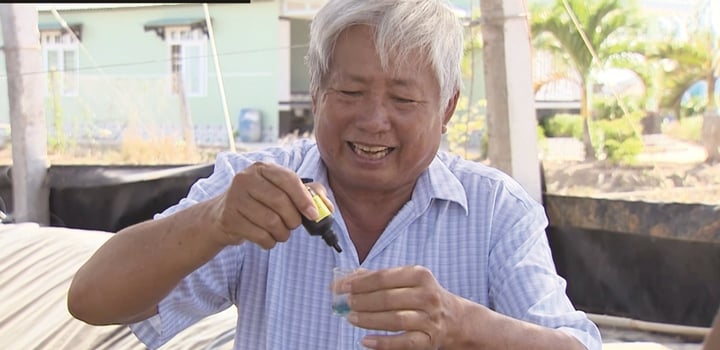 “Tỷ phú Hai Lúa” làm giàu nhờ nuôi tôm công nghệ cao