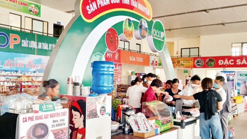 Thái Nguyên: Hơn 590 hợp tác xã nông nghiệp khẳng định sức mạnh của kinh tế tập thể
