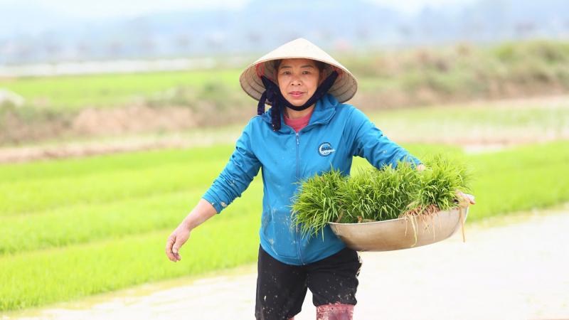 Nông dân Nghệ An vui Xuân mới không quên ruộng đồng