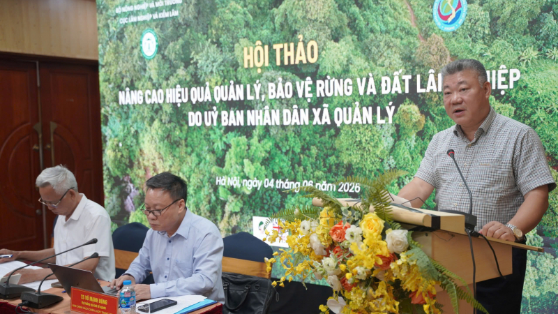 Làm sao để gỡ nút thắt cho hơn 3 triệu ha rừng 'chưa có chủ thực sự'?