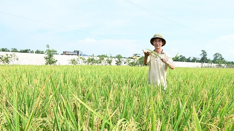 Nghị quyết 57 là đòn bẩy chuyển đổi số ngành nông nghiệp