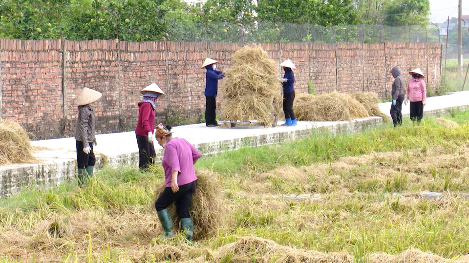 Giảm phát thải khí nhà kính trong nông nghiệp