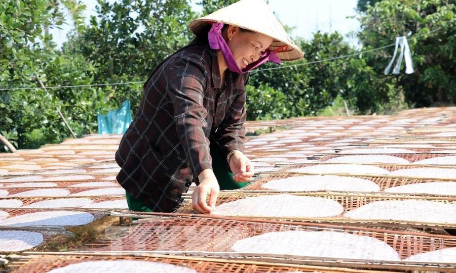 Làng nghề bánh tráng Mỹ Lồng (Bến Tre) hối hả vào Xuân