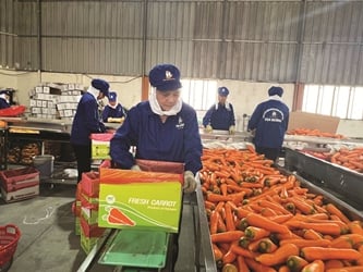 Trở thành tỷ phú từ thu mua nông sản