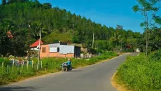 Lộ diện hệ sinh thái 'đối thủ hóa đối tác' xung quanh Công ty Thuận Huy [Kỳ 2]