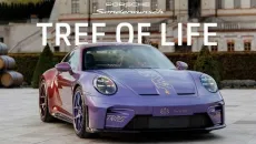 Ngắm chiếc Porsche 911 GT3 chính hãng màu mè nhất từng sản xuất