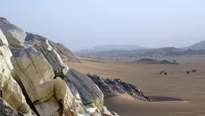 Lạc lối trong 'ốc đảo' của sự sống giữa sa mạc Sahara chết chóc