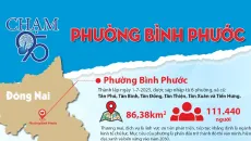 Tiết kiệm nhỏ giọt, thiếu vắng cạnh tranh: Ai chịu trách nhiệm tại Phường Bình Phước?