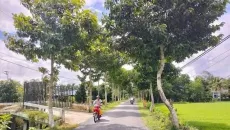 Vĩnh Long: Hai nhà thầu cạnh tranh gói xây đường hơn 15,6 tỷ đồng