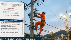 An Giang: Công ty HAG trúng gói thầu gần hơn 15 tỷ tại dự án núi Sam