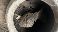 Hộp sọ ngựa cổ đại trong bình gốm hé lộ nghi lễ cổ xưa kỳ quặc