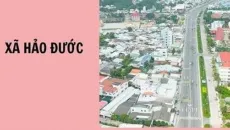 Gói thầu giao thông tại xã Hảo Đước trị giá 4,8 tỷ, tiết kiệm vỏn vẹn 36 triệu