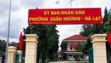 Lâm Đồng: Gói thầu thi công sửa chữa đường Đào Duy Từ về tay Thành Đạt Phát
