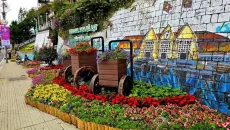 Festival Hoa Đà Lạt 2026: Lấy sắc hoa và âm nhạc làm chủ đề thu hút du khách