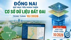 Đồng Nai đặt mục tiêu hoàn thiện cơ sở dữ liệu đất đai trong tháng 10/2026