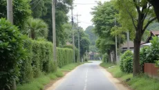 Xã Phúc Thịnh, Thư Lâm thí điểm xã, phường xã hội chủ nghĩa