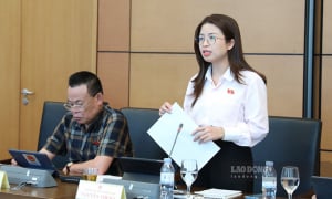 Bắt buộc mỗi doanh nghiệp có ít nhất một chuyên gia bảo vệ dữ liệu cá nhân