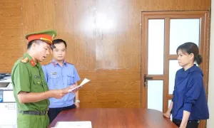 Mâu thuẫn chỗ bán hàng, người phụ nữ ở Phú Thọ bị khởi tố