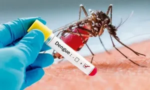 Nguy cơ dịch sốt xuất huyết tăng cao ở TPHCM trước đỉnh dịch sắp tới