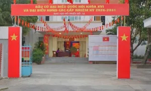 Gói thầu 7,7 tỷ tại phường Bảo An chỉ có một nhà thầu tham dự